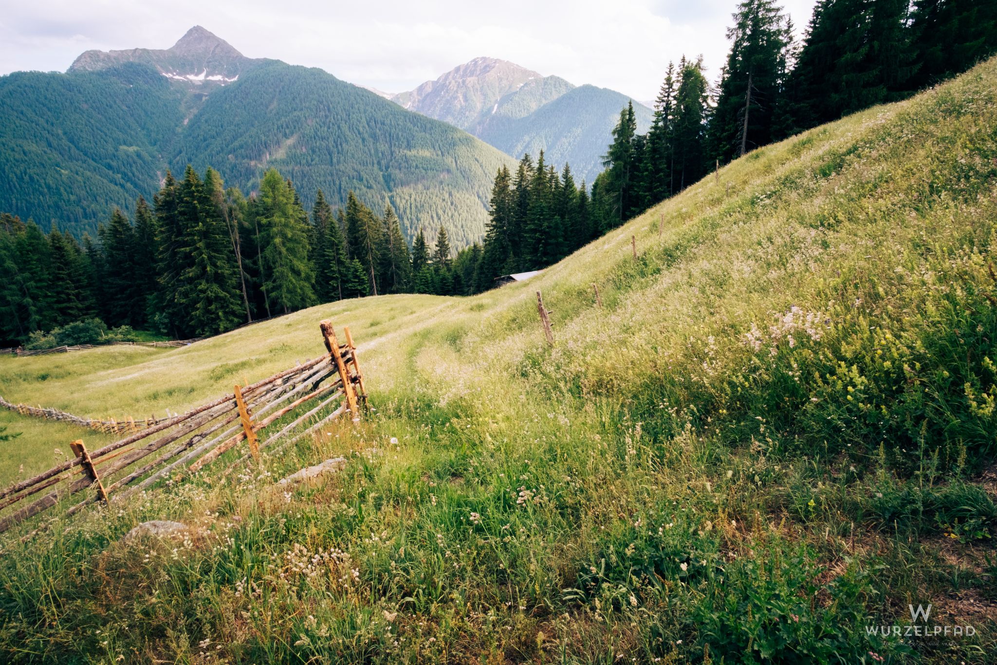Bergwandern im Ultental